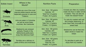 This table shows locations, nutritional facts, and serving suggestions for four commonly eaten insects. 