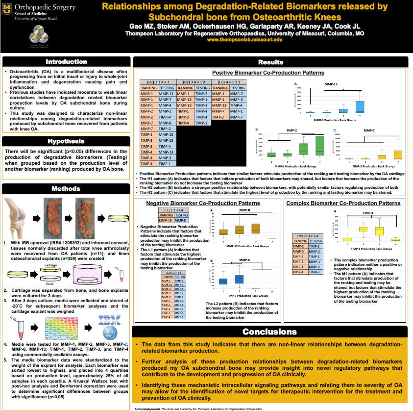 Image of Matthew Gao's research poster. 
